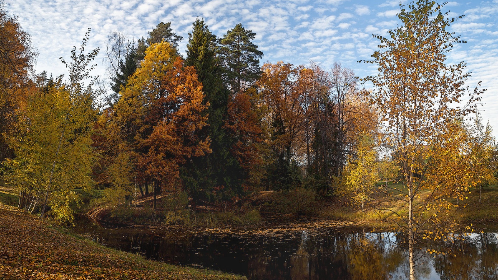 Природа в октябре. Осень октябрь природа. Середина осени. Октябрь середина осени. Середина осени осень.